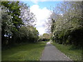 Derby Canal path, Allenton (2)
