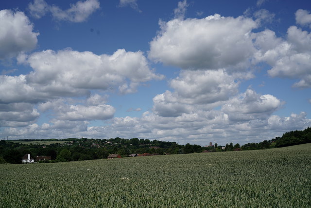 View Towards Guildford