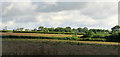 SX6695 : Farmland near Spitlar Cross by Derek Harper