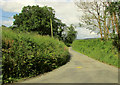 Lane to Buckland Filleigh