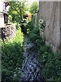 Stream leading to Afon Conwy