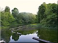 Letcombe Bassett: old watercress beds