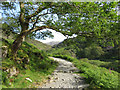 Watkin Path above Nantgwynant