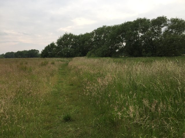 Field path near Whitacre