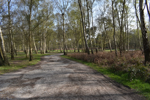 Picnic area in Rendlesham Forest © Simon Mortimer cc-by-sa/2.0 ...