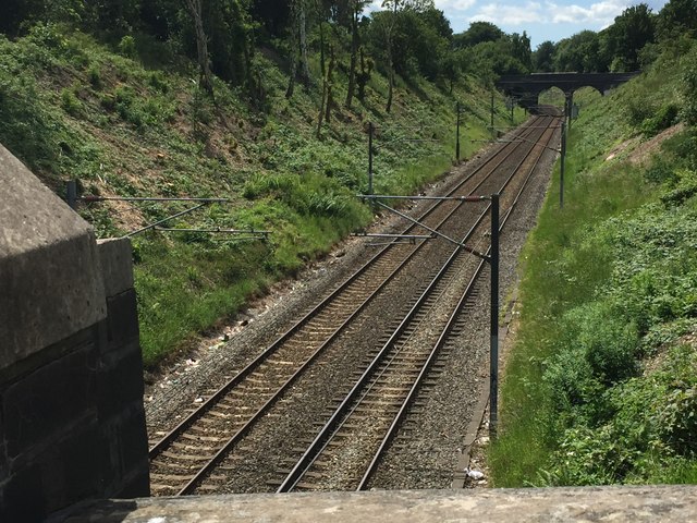 Rail embankments after mass-pruning