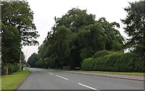 TA1100 : The A46 Caistor By-pass by David Howard