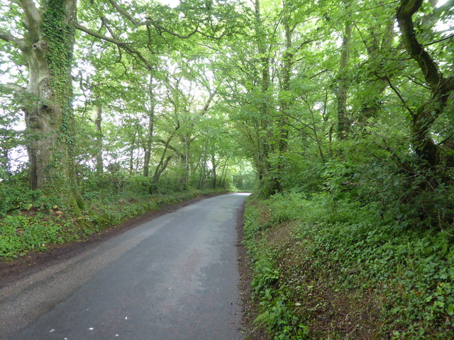 Horseshoe Road, near Thorncombe