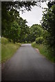 Lane between Little Braxted and Great Totham