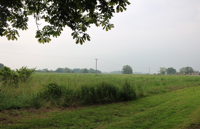 Field in Baston