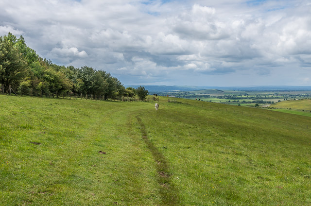 Milk Hill © Ian Capper cc-by-sa/2.0 :: Geograph Britain and Ireland