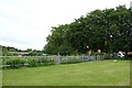 Allotments in New Earswick