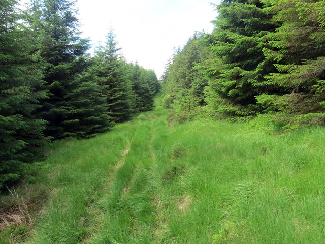 Llwybr ger Esgair Fraith / Path near... © Alan Richards cc-by-sa/2.0 ...