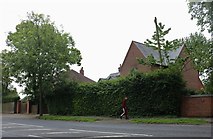 SK9872 : Houses on Wragby Road, Lincoln by David Howard