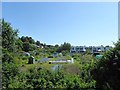 Rye Community Food and Wildlife Garden, Rye