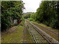 Single track railway line SE of Ton Pentre Station