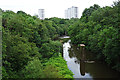 River Kelvin