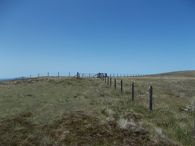 Fence junction on Capel Fell