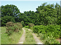 Track to Little Millbrook Farm