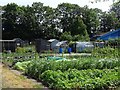 Bradmore Road Allotments