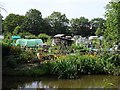 Mona Land C Allotments by the Trent & Mersey Canal