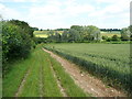 Church Lane and crop, St Paul