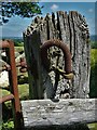 Detail of a gatepost - Wingfield Park