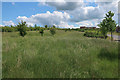 Grass area by Hales Barn Road