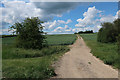 Footpath near Haverhill