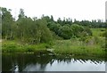 Arm off the Forth and Clyde Canal Glasgow Branch