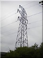 Portrait of a pylon north of Bidston (2)