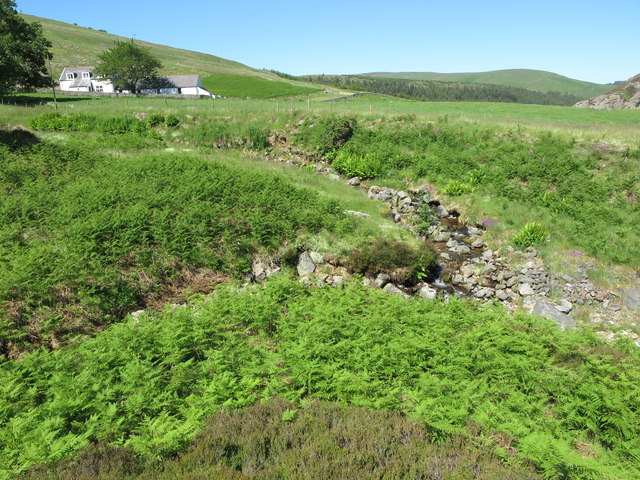 Confluence of Bellyside and Bizzle Burns