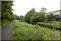 Forth and Clyde Canal, Westerton