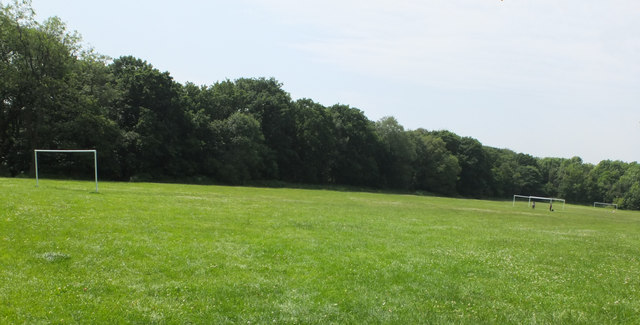 File:Football Pitch at South Park - geograph.org.uk - 85815.jpg - Wikimedia  Commons