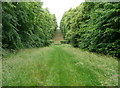 The Lime Avenue, The Bury Estate, St Paul