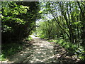 Footpath on track of  dismantled railway