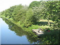 Fishing on the Forth & Clyde Canal