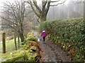 Path by Hazel Bank Country House