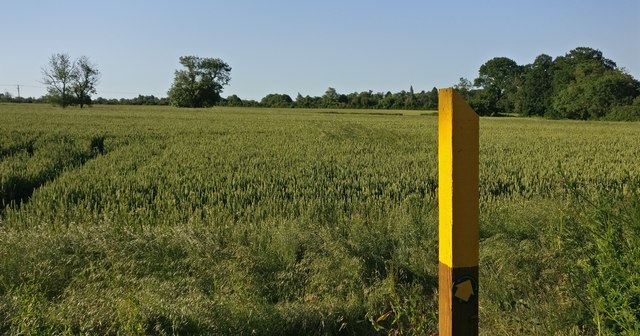 Farmland north of Glen Road