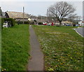 Path between grass, Libanus, Powys