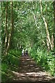 Walkers on the Flitch Way Near Felsted