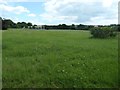 Farmland between Cossall Marsh and Awsworth