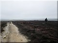 SE9198 : Burnt  heather  moorland by Martin Dawes