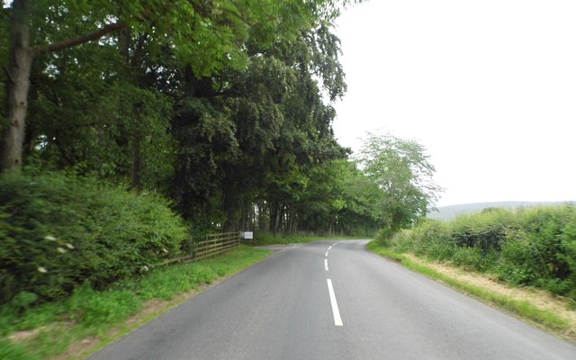 A686 at Turnmoor Head Woods
