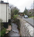 Stream in Libanus, Powys