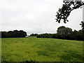 Pasture beside the Bluebell Railway