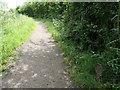 Unobtrusive cast iron milepost, Nottingham Canal towpath