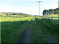 Field-edge farm track near Burnside