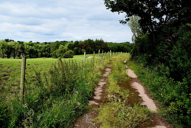 Rough lane, Magheragart (Donnell) © Kenneth Allen :: Geograph Ireland