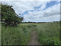 Bridlepath to Buckland Marsh